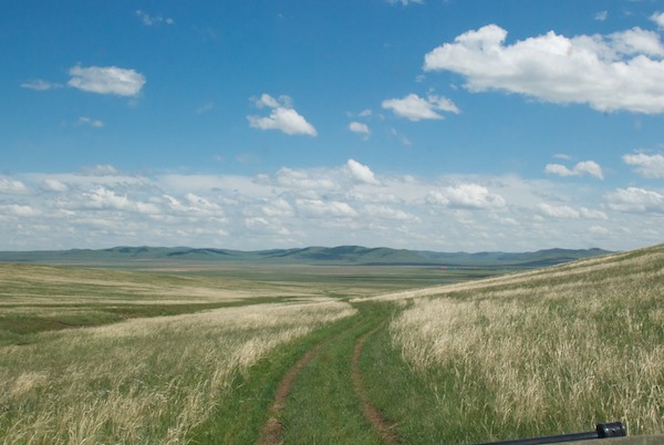 We were heading towards the site of a major new crane study. My driver had directions, but couldn't follow them