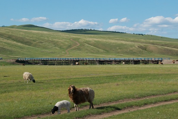 We left the research station and headed towards our next destination, Binder, crossing this old-fashioned timber bridge.