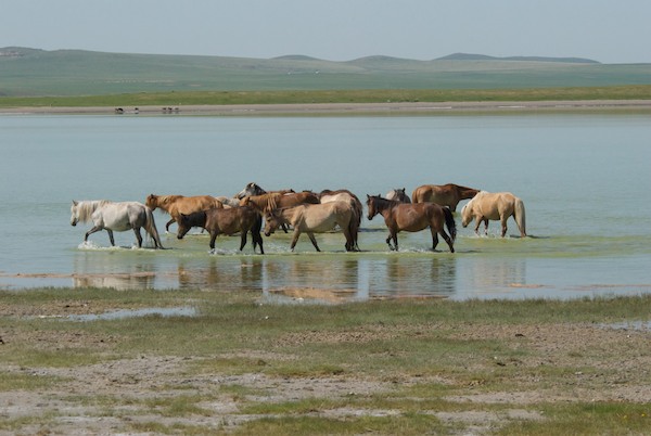 We passed a couple of small lakes