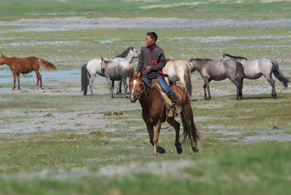 Then this local herder rode by...