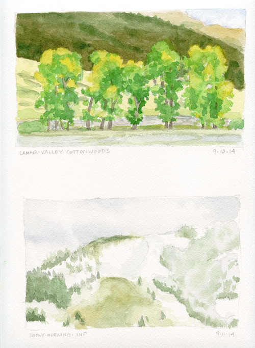 Cottonwoods and a snowy morning, the Lamar Valley, Yellowstone