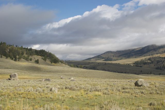 Yellowstone scenery.