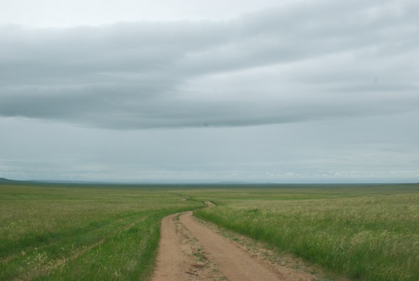 The legendary grassland steppe, 