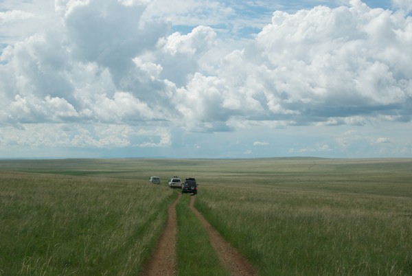 Off across the steppe...