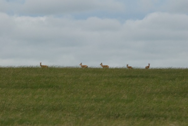 This group was nice enough to stop on the ridge.