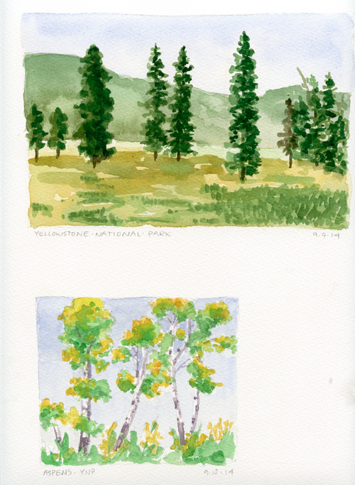 Yellowstone trees; watercolor