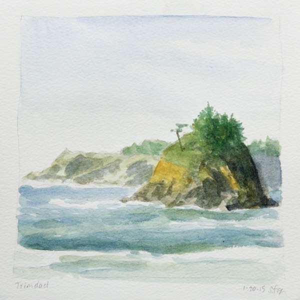 Trinidad State Beach scene