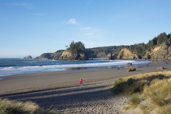 Trinidad State Beach