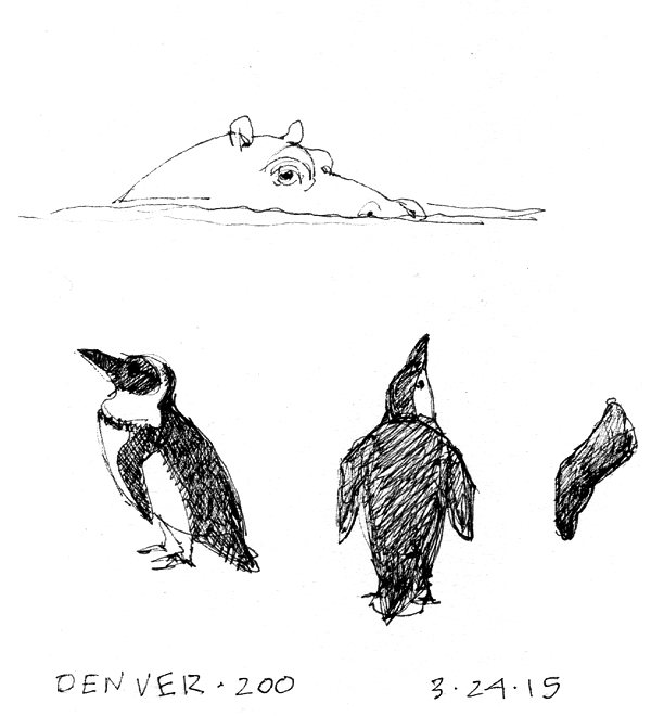 Hippo and penguins. I did the hippo in about 15 seconds since he went underwater at that point.