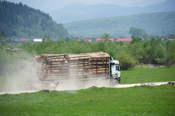 18 logging truck