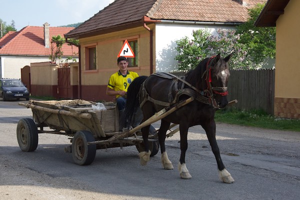 28 horse cart