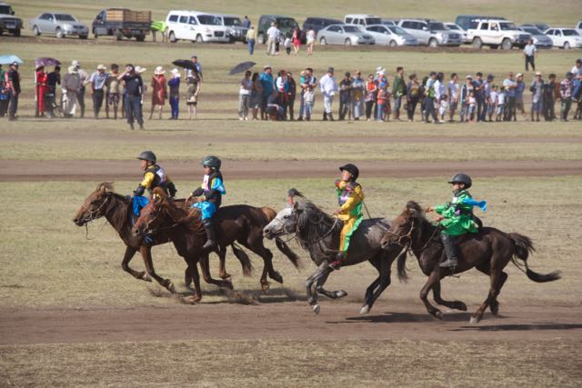 Race for Mongol horse hybrids