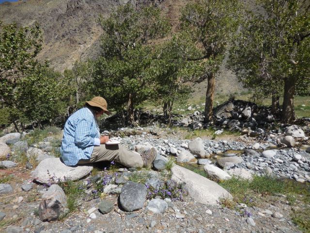 Drawing the rock falls in the stream that runs through the second valley
