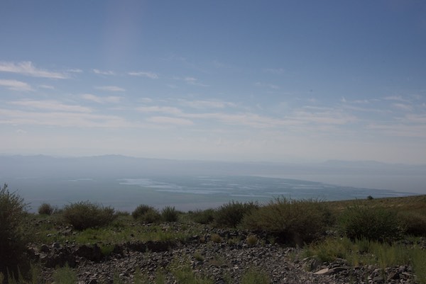 14. KUN reedbeds from valley