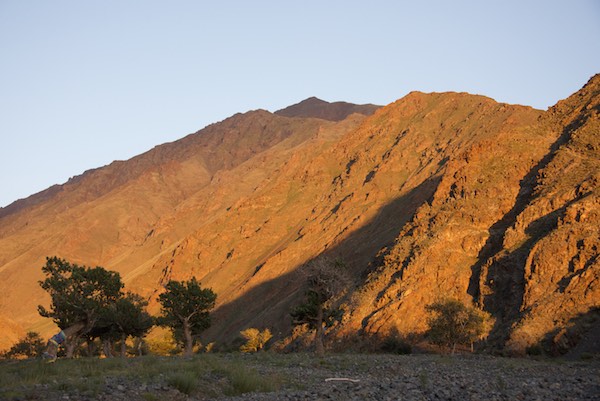 19, JHU sunset with khadag tree