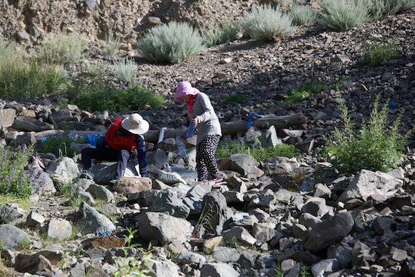 25. JHU sacred spring