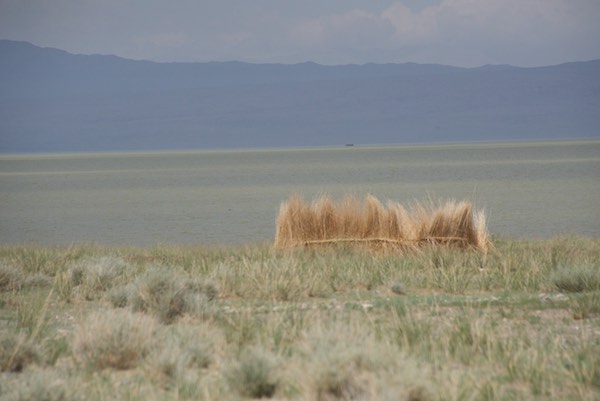 28. KUN reed enclosure