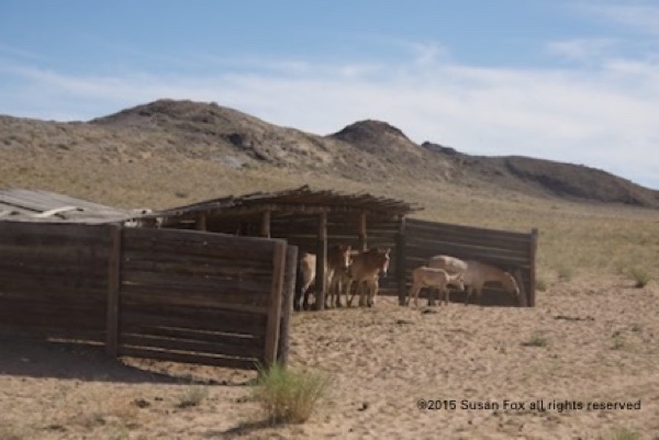 My first look at them