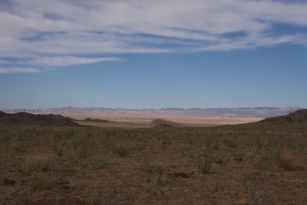 Looking back down the valley towards the river, which is lined with sand dunes on the east side