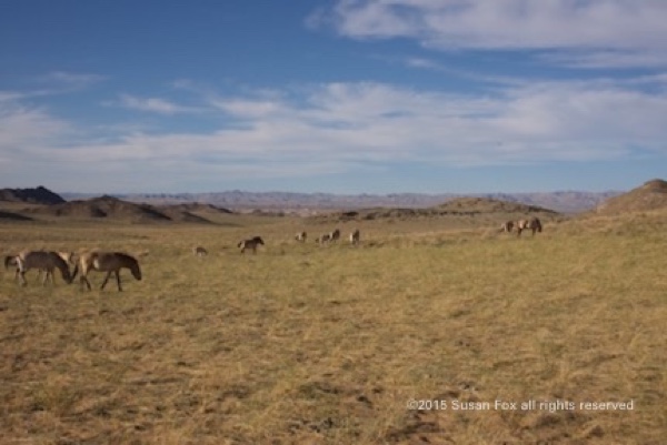 Family group heading down the valley