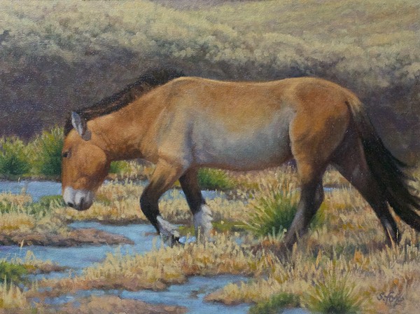 "Morning Drink" oil 12.16"