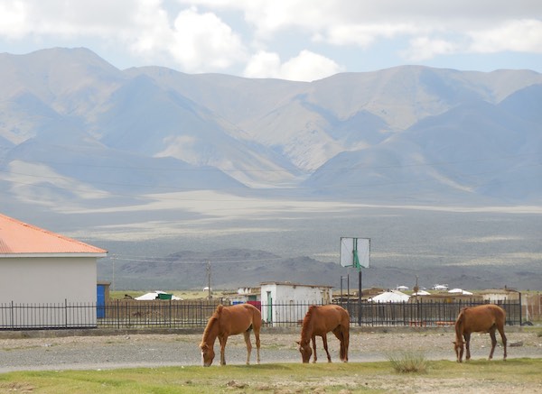 Chandmani scene with horses and Jargalant Hairhan Uul in the background