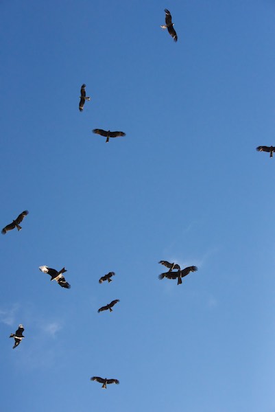 Just a fraction of the number that were in the air at this point