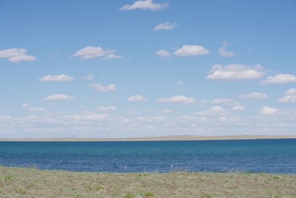Campsite overlooking lake with whooper swans
