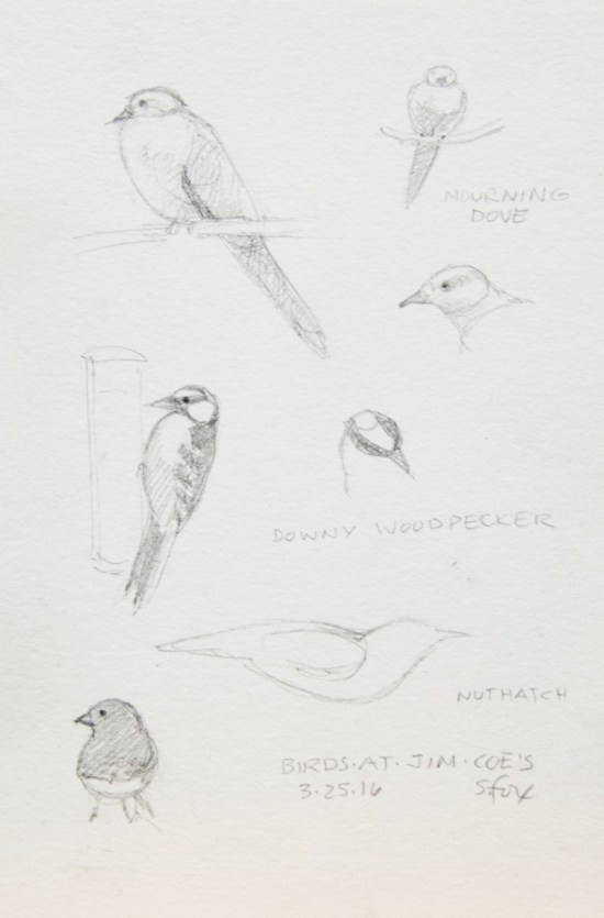 Pencil birds