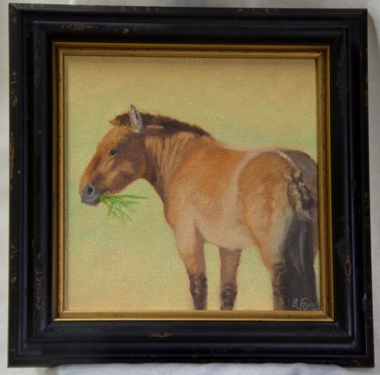 Good Grass (Hustai Takhi 6x6" oil