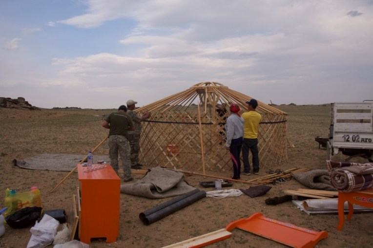 22. poles almost done