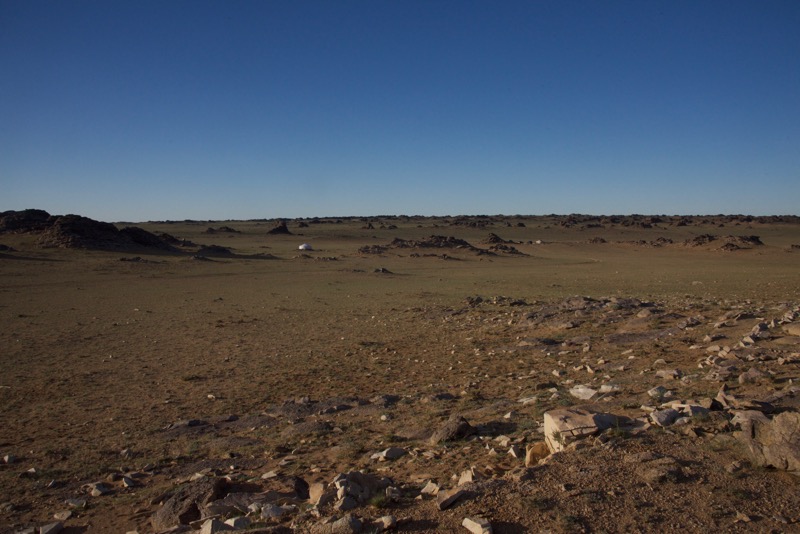 24. my and choi's ger