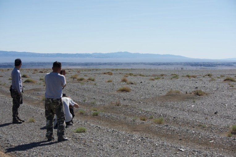 11. photographing camels