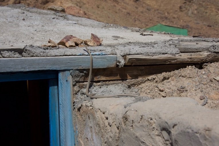 35. steppe ribbon racer 1