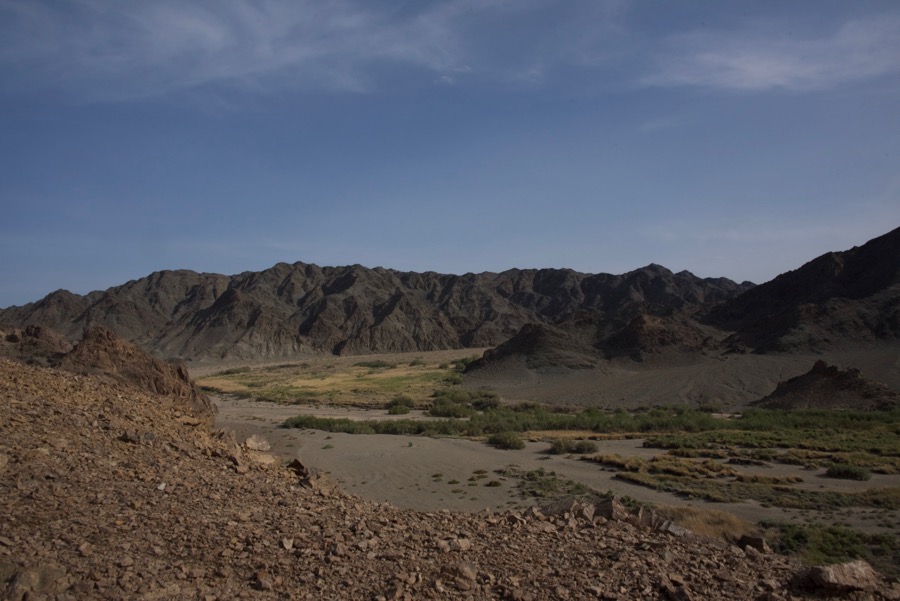 38. Feeding station view