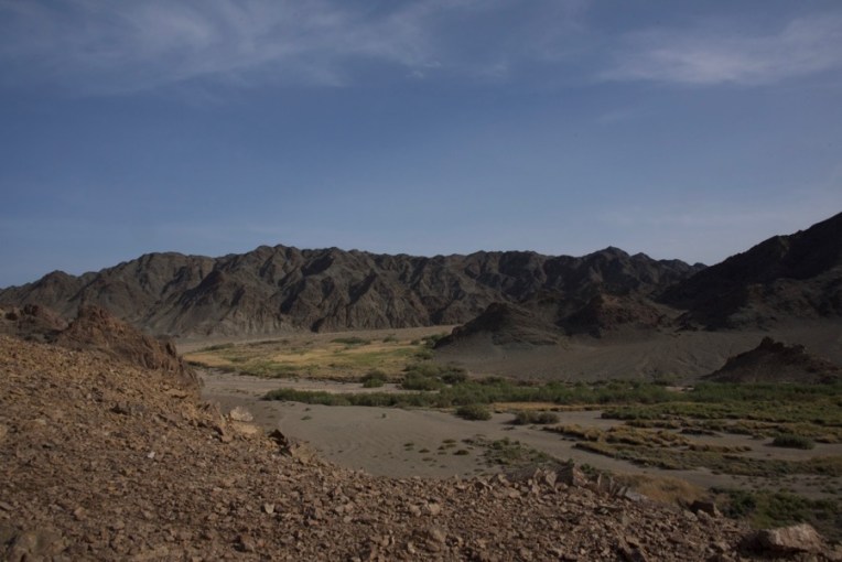 38. Feeding station view