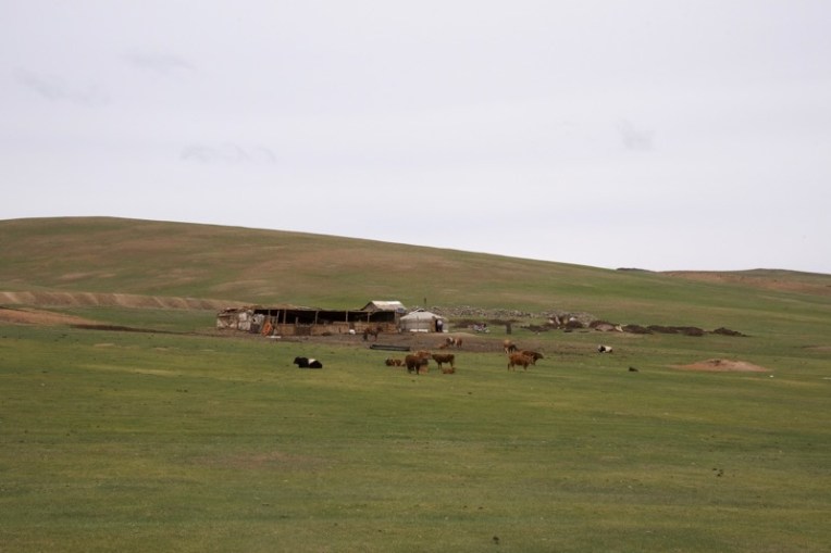 4. Batana's aunt and uncle's ger