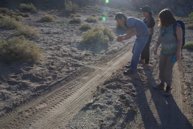 7. bear tracks, people