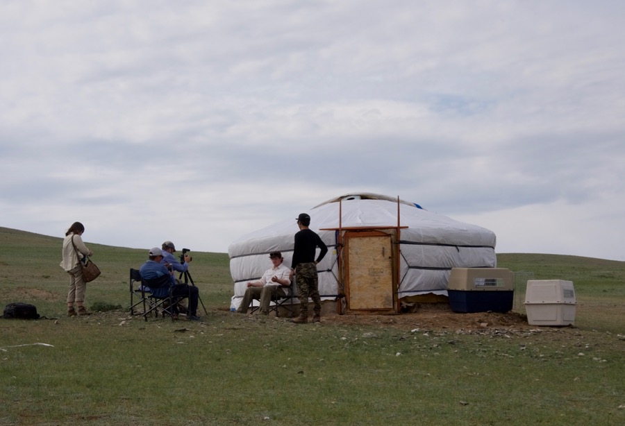 14-interviewing-greg