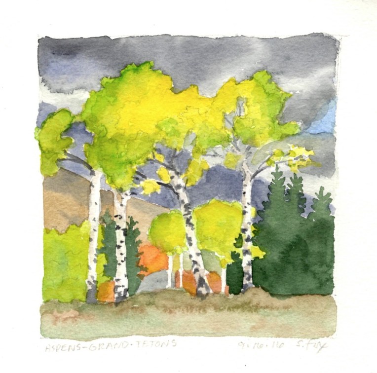 aspens-and-storm