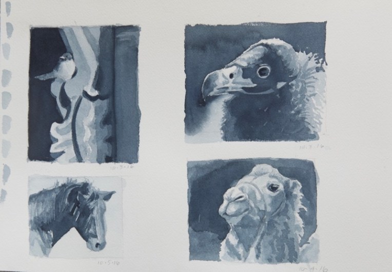 gs-sparrow-vulture-horse-camel