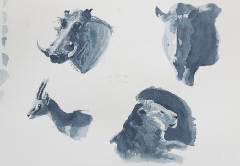 gs-warthog-rhino-gazelle-lion