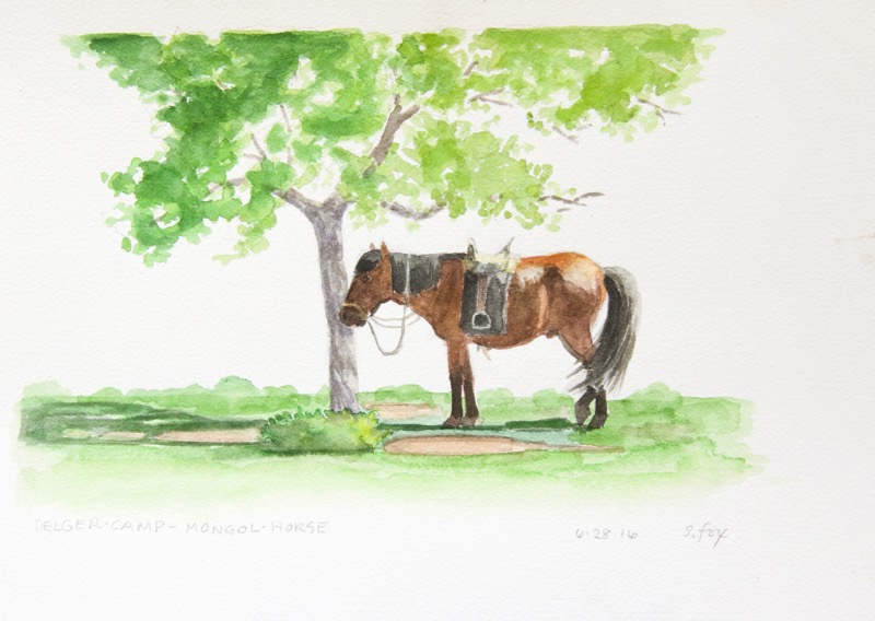 delger-camp-horse