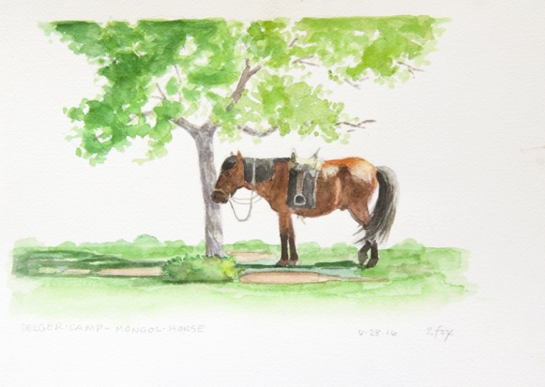 delger-camp-horse
