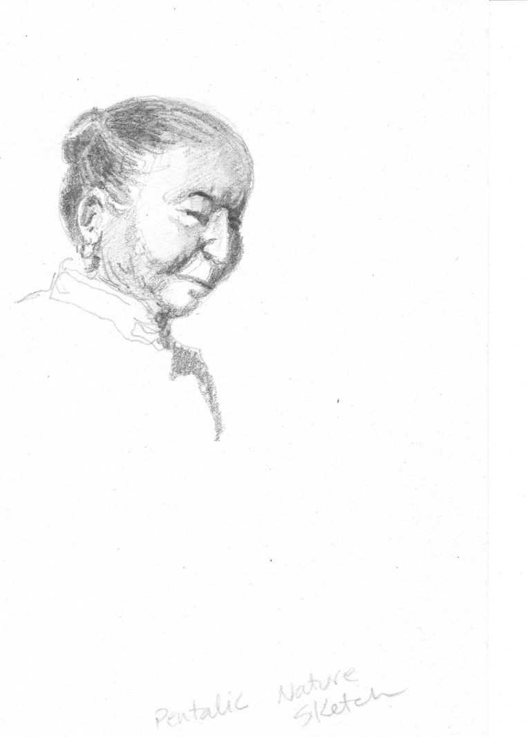 pentalic-nature-sketch