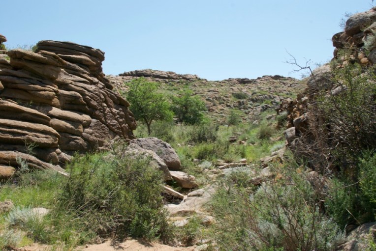 where-ibex-came-from