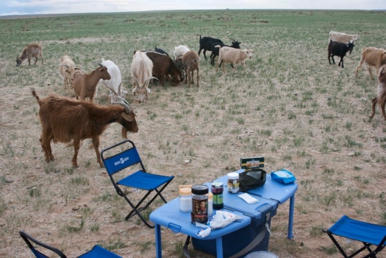 Mongolia2010-07-17-14-36-44 - Version 2