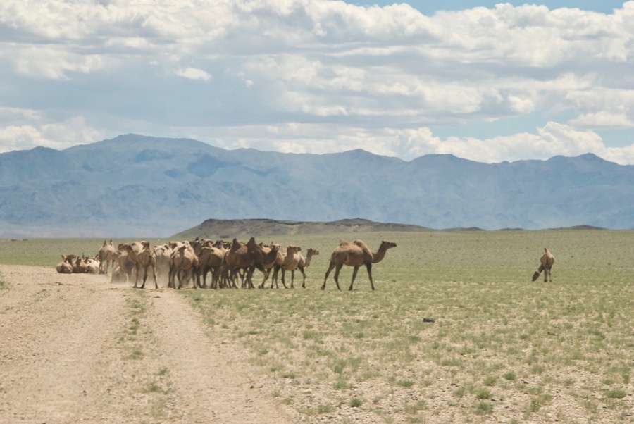 Mongolia2010-07-17-20-46-16