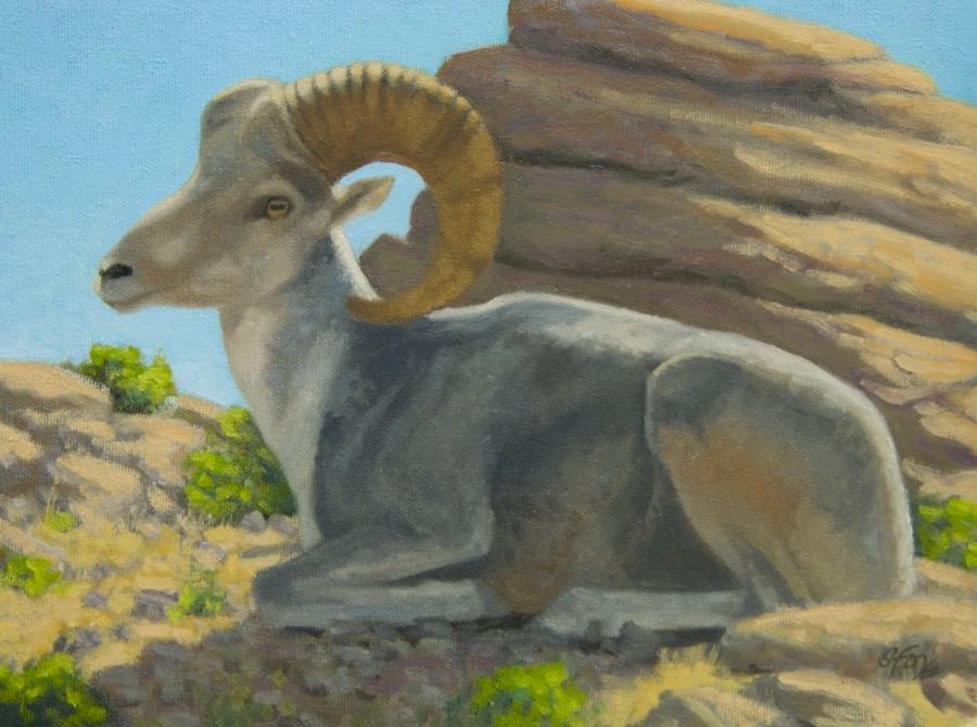 Catching the Morning Light