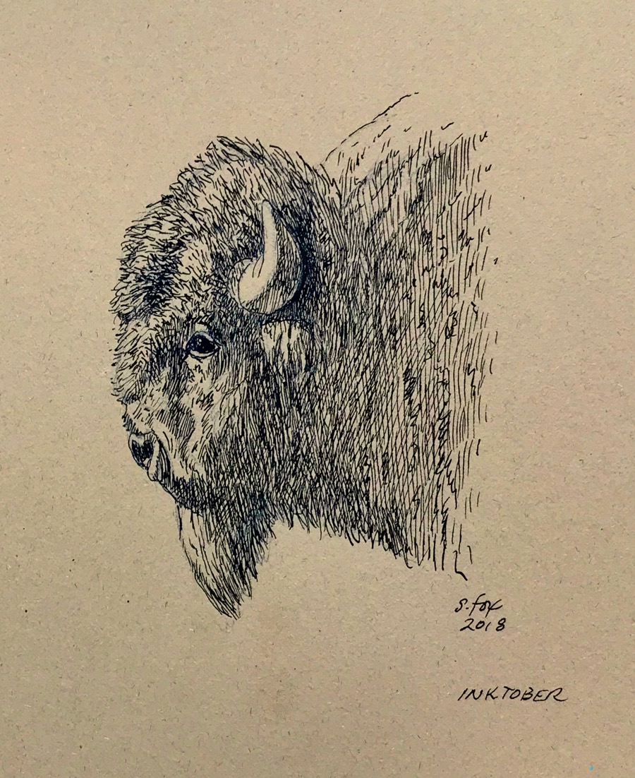 Inktober 16 "Bison